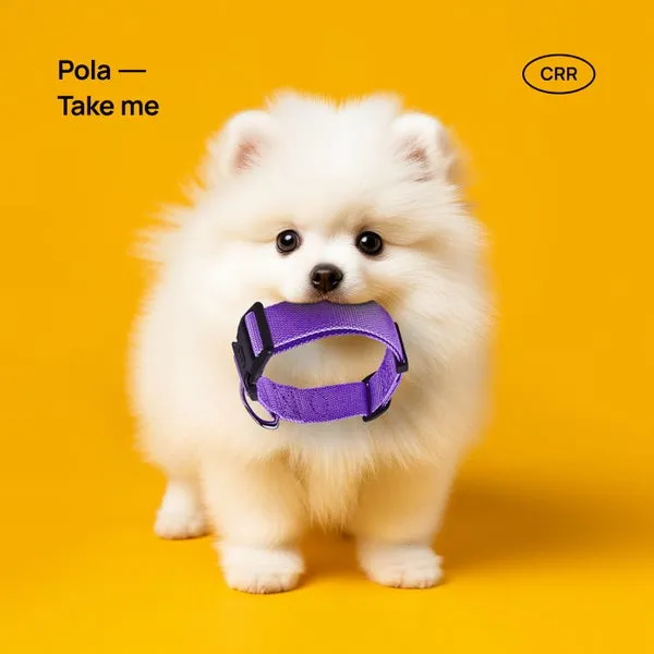 Pola – Take Me cover