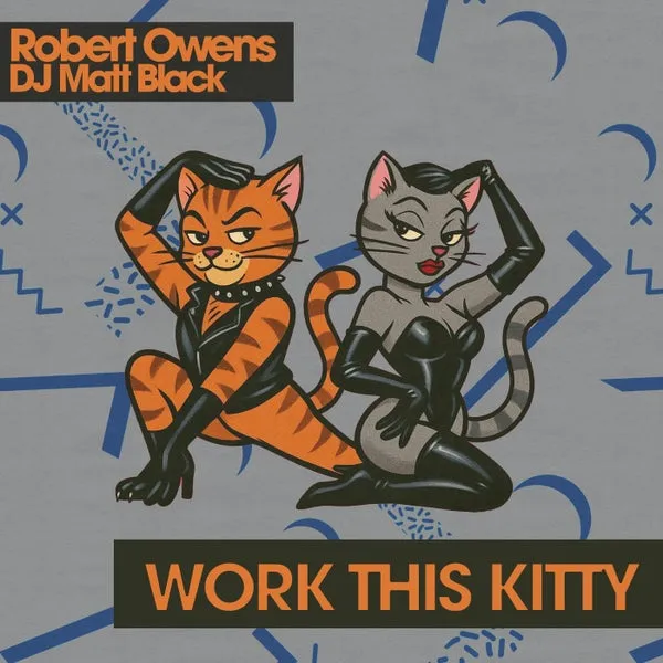 Robert Owens, DJ Matt Black – Work This Kitty cover