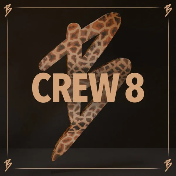 VA – Crew 8 cover