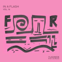 VA - In a Flash, Vol. 16 [Flashmob Records]