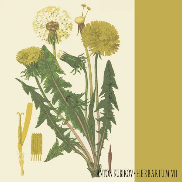 Anton Kubikov – Herbarium VII cover