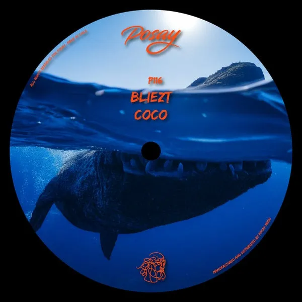 Bliezt – Coco cover