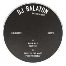 DJ Balaton - Back to the Mood [Liquid Luve Discs]