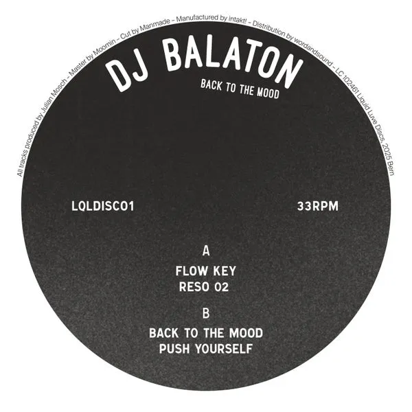 DJ Balaton – Back to the Mood cover