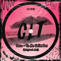 Dezz (US) - Tu Me Calientas [CLT]