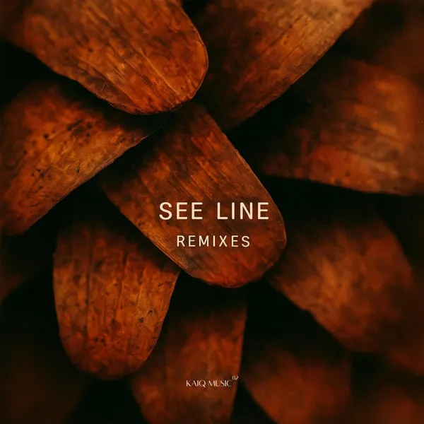 Kaiq – See Line Remixes cover