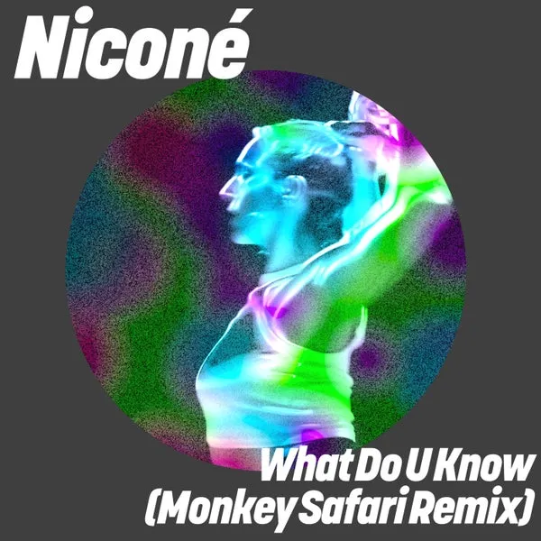 Nicone – What Do U Know (Monkey Safari Remix) cover