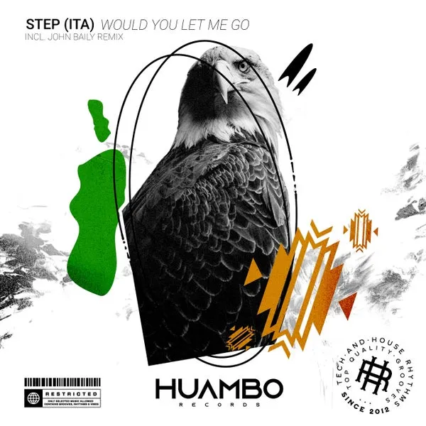 STEP (ITA) – Would You Let Me Go cover