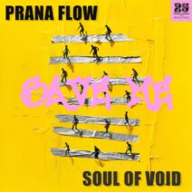 Soul Of Void, Prana Flow - Save Me [Bar 25 Music]