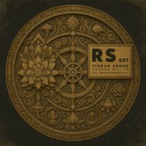 Tigran Sound - Dharma Hill EP [Rhythmic Steps]