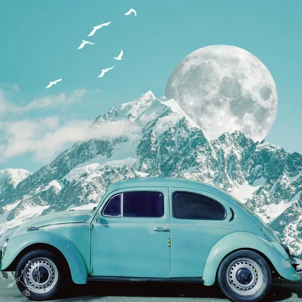 Tommy Echelon, Erica Ambrin – Tommy’s Trip cover