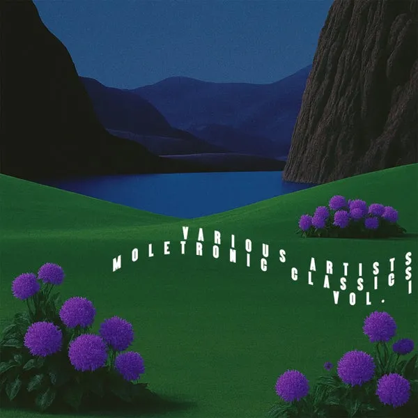 VA – Moletronic Classics, Vol. I