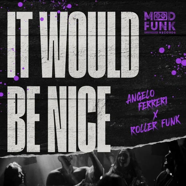 Angelo Ferreri, Roller Funk – It Would Be Nice cover