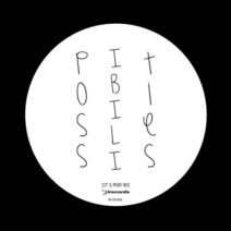 Kevin Yost, STP - Possibilities [I Records Classics]