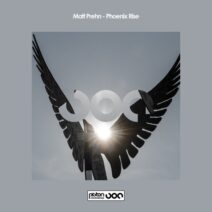 Matt Prehn - Phoenix Rise [Piston Recordings]