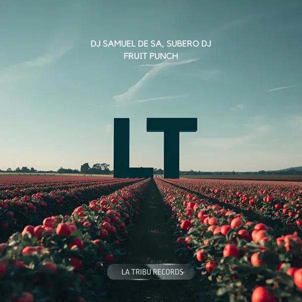 Subero DJ, DJ Samuel De Sa – Fruit Punch cover