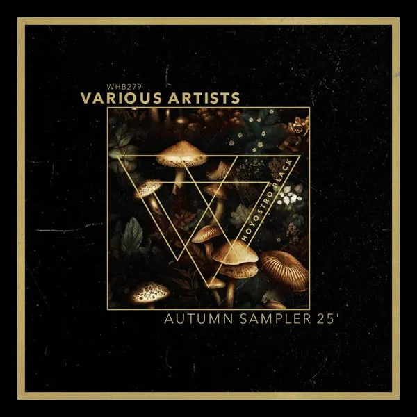 VA – Autumn Sampler 25′ cover