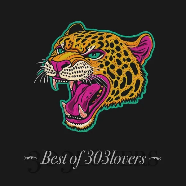VA – Best of 303Lovers cover