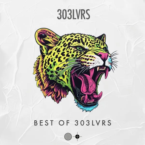 VA – Best of 303Lvrs cover