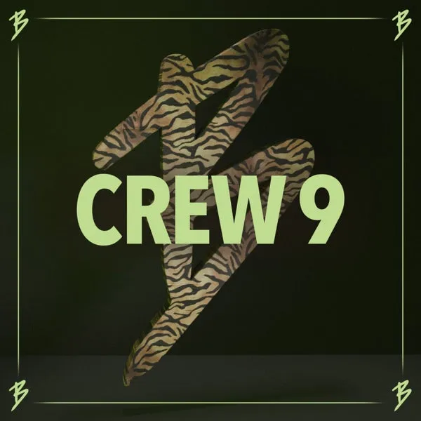 VA – Crew 9 cover