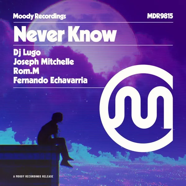 DJ Lugo, ROM.M, Joseph Mitchelle, Fernando Echavarria – Never Know cover