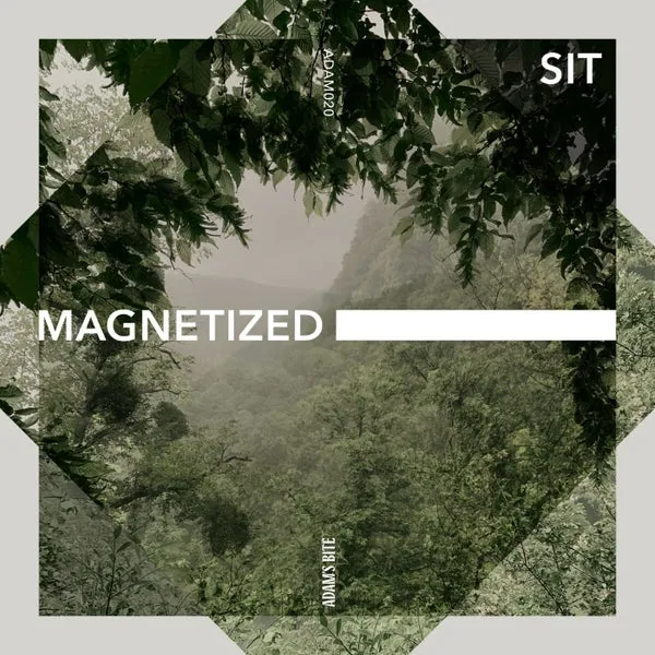 Vlad Caia, Cristi Cons, SIT – Magnetized cover