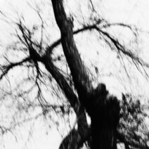 ort.z - La Sobra Del Impulso [Figura Negra]