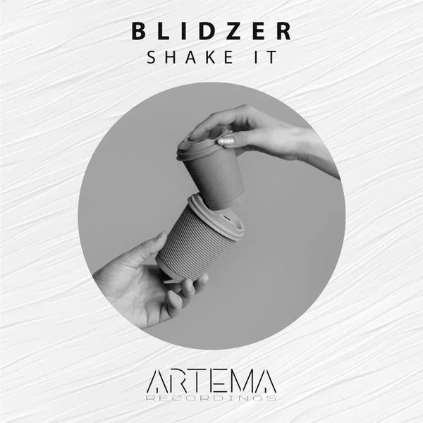 BlidZer – Shake It cover