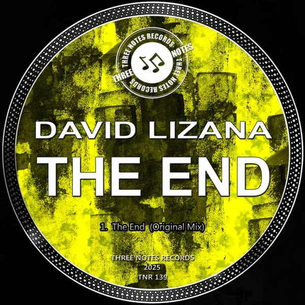 David Lizana – The End (Original Mix) cover