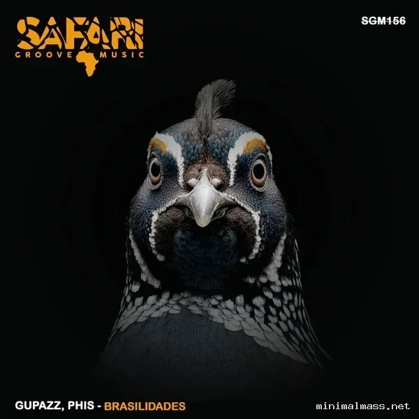Gupazz, Phis – Brasilidades cover