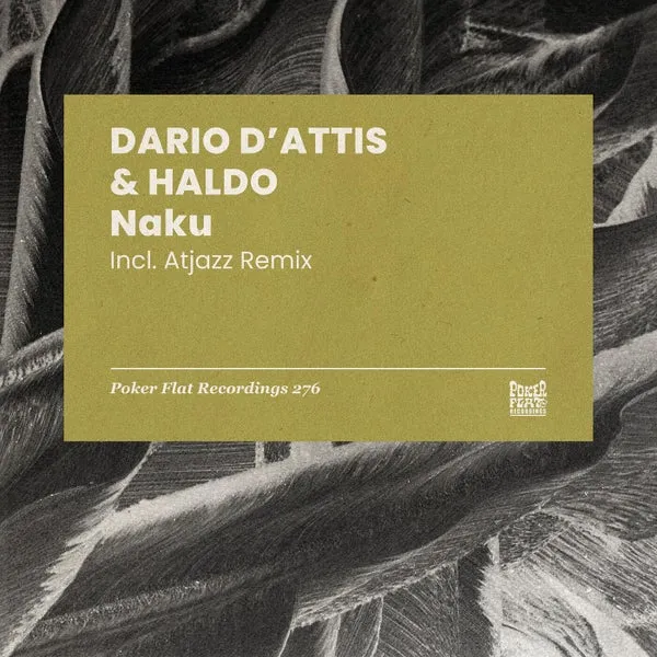 Haldo, Dario D’Attis – Naku cover