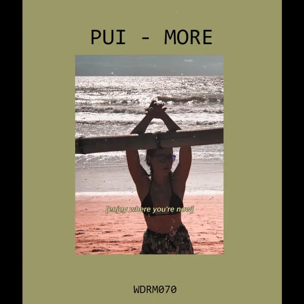 PUI – More cover