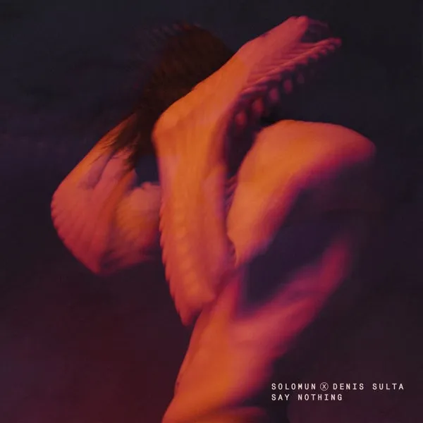 Solomun, Denis Sulta – Say Nothing cover