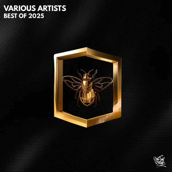 VA – Best of 2025 cover