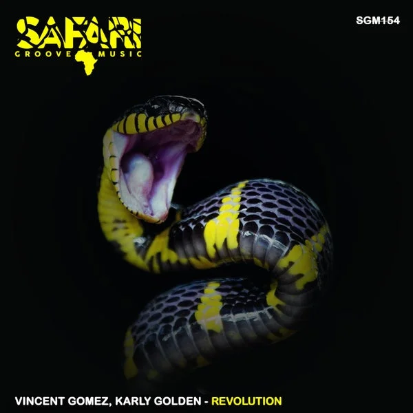 Vincent Gomez, Karly Golden – Revolution cover