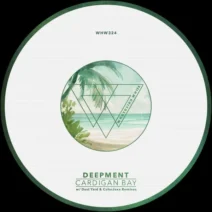 Deepment - Cardigan Bay [Whoyostro White]