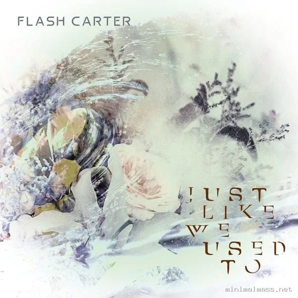 Flash Carter – Just Like We Used To cover