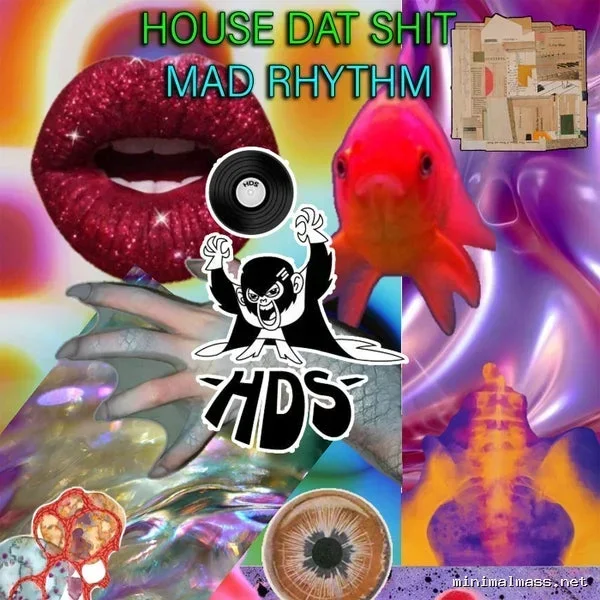 House Dat Shit – Mad Rhythm cover