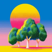 Kashovski - Timbo [Monaberry]