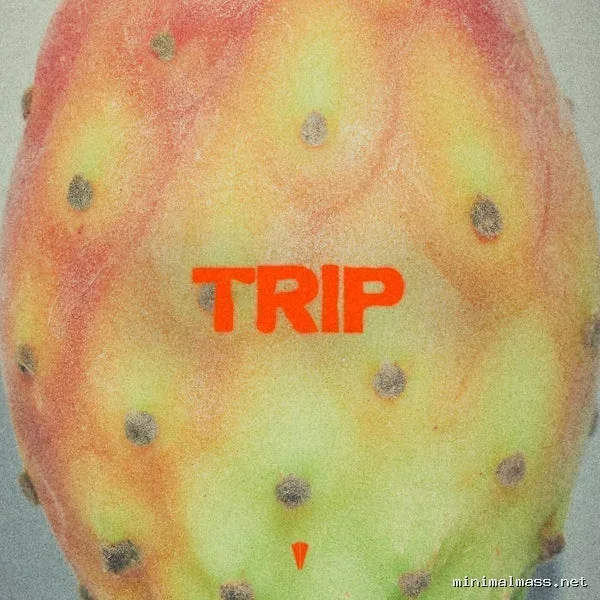 Konstantin Kobra – Trip cover