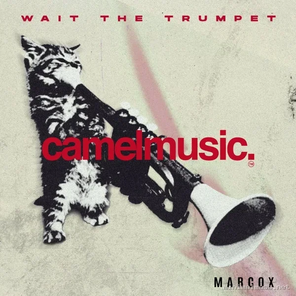 Marcox – Wait the Trumpet cover