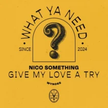 Nico Something - Give My Love A Try [What Ya Need]