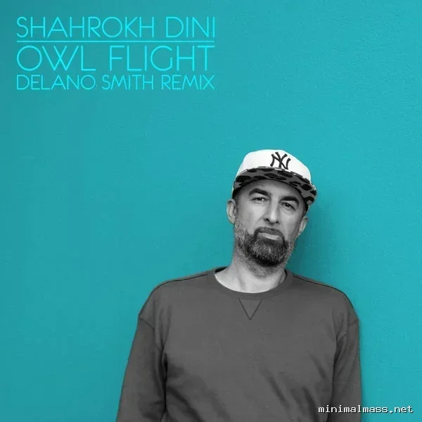 Shahrokh Dini – Owl Flight (Delano Smith Remix) (2026 Edit) cover