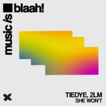 Tiedye, 2LM - She Won't [Music is blaah!]