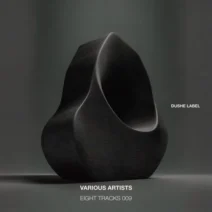 VA - Eight Tracks 009 [Dushe Label]