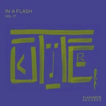 VA - In a Flash, Vol. 17 [Flashmob Records]