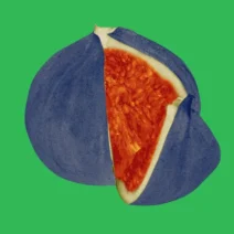 VA - Shir Khan Presents Welt Am Draht 2025 [Exploited]