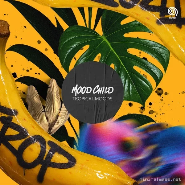 VA – Tropical Moods cover