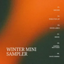 VA - Winter Mini Sampler [Fantastic Friends Recordings]