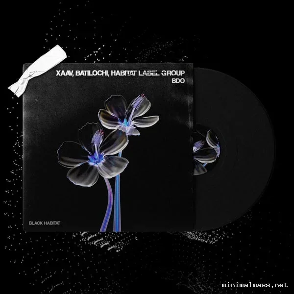 XAAV, Batilochi – BDO cover